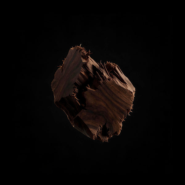 Dark Woods