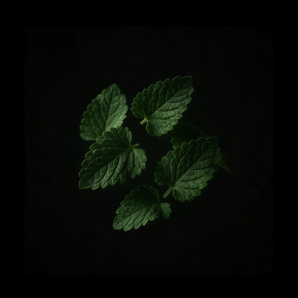 PATCHOULI
